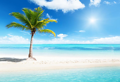 Umývateľná tapeta do kúpeľne Palm beach 1345